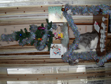 DSCN6872.JPG