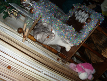 DSCN6875.JPG
