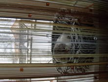 DSCN6878.JPG