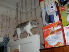 DSCN6879.JPG