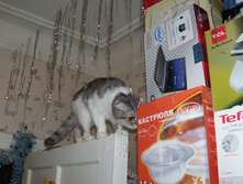 DSCN6880.JPG
