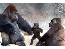 ���������.jpg