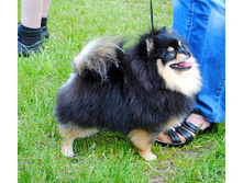 DSC_8256.JPG