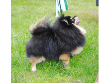 DSC_8261.JPG