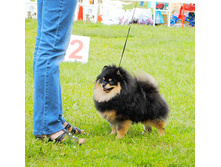 DSC_8268.JPG