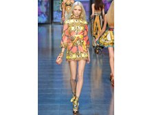 D&G 2606�