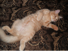 DSCN3718.JPG