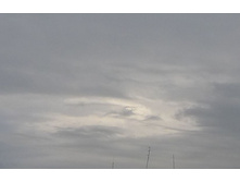 P1000546_.JPG