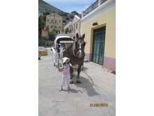 IMG_6333.JPG