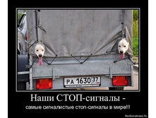 getImage��.jpeg