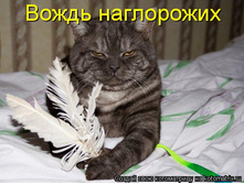 01.11.2010 20:16:59