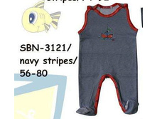 S-B-N-31-21.jpg