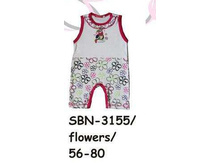 S-B-N-31-55.jpg