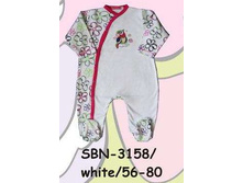 S-B-N-31-58.jpg