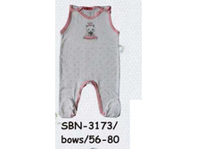 S-B-N-31-73.jpg
