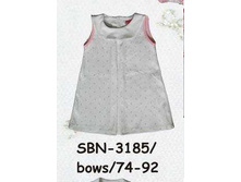 S-B-N-31-85.jpg