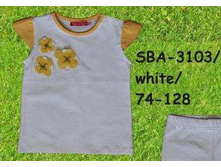 S-B-A-31-03.jpg
