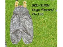 S-K-D-31-00.jpg