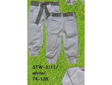 S-T-W-31-11.jpg