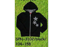 S-PN-31-02.jpg