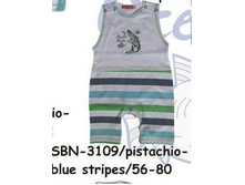 s-b-n-31-09.jpg