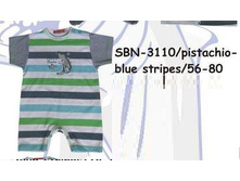 s-b-n-31-10.jpg