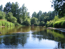 20.08.2009 13:42:39