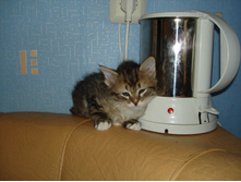 20.08.2009 15:54:44