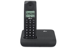 RITMIX RT-130D.jpg