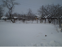 P1010131.JPG