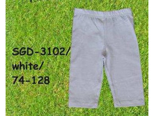 S-GD-31-02.jpg