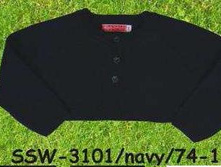 S-SW-31-01.jpg
