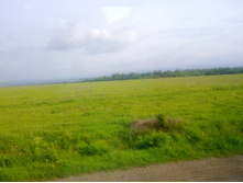 28052012187.jpg