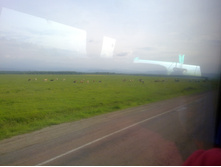28052012188.jpg