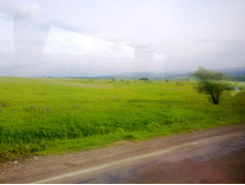 28052012190.jpg