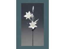 image097.png
