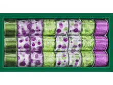 image537.png