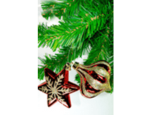 image703.png