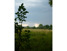 25.08.2009 8:44:01