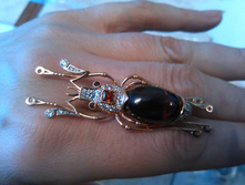 IMG_20130227_085810.jpg