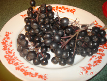 DSC06314.JPG