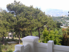 IMAG0027.jpg