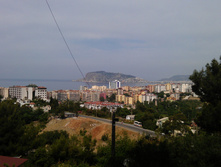 IMAG0028.jpg