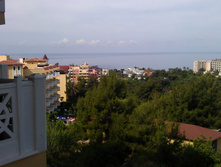 IMAG0029.jpg