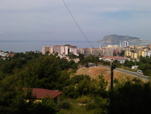 IMAG0031.jpg