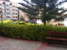 IMAG0037.jpg