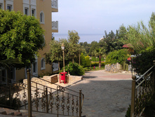 IMAG0038.jpg
