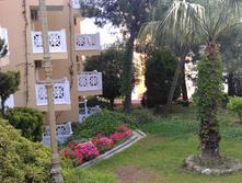 IMAG0041.jpg