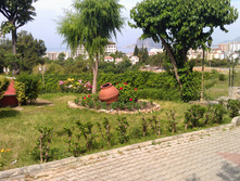 IMAG0042.jpg