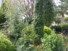 IMAG0045.jpg